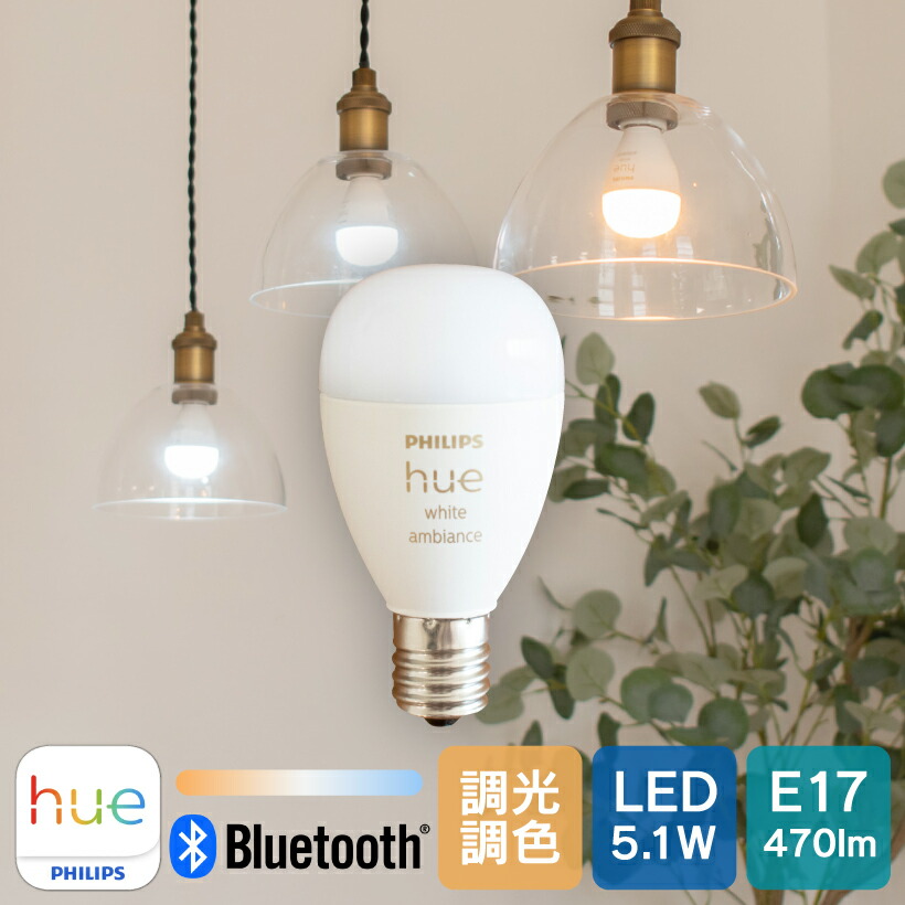 hue-e17-sam2.jpg