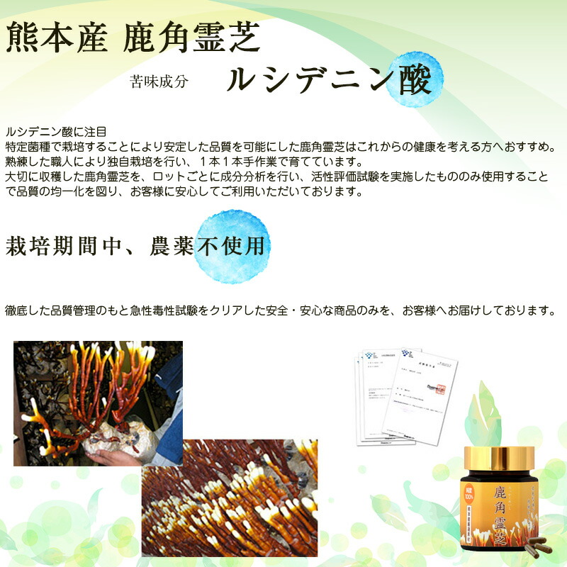 楽天市場】霊芝 鹿角霊芝（ろっかくれいし）1ヶ月分（93カプセル 1本