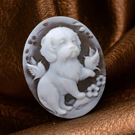 cameo-sim111top.jpg