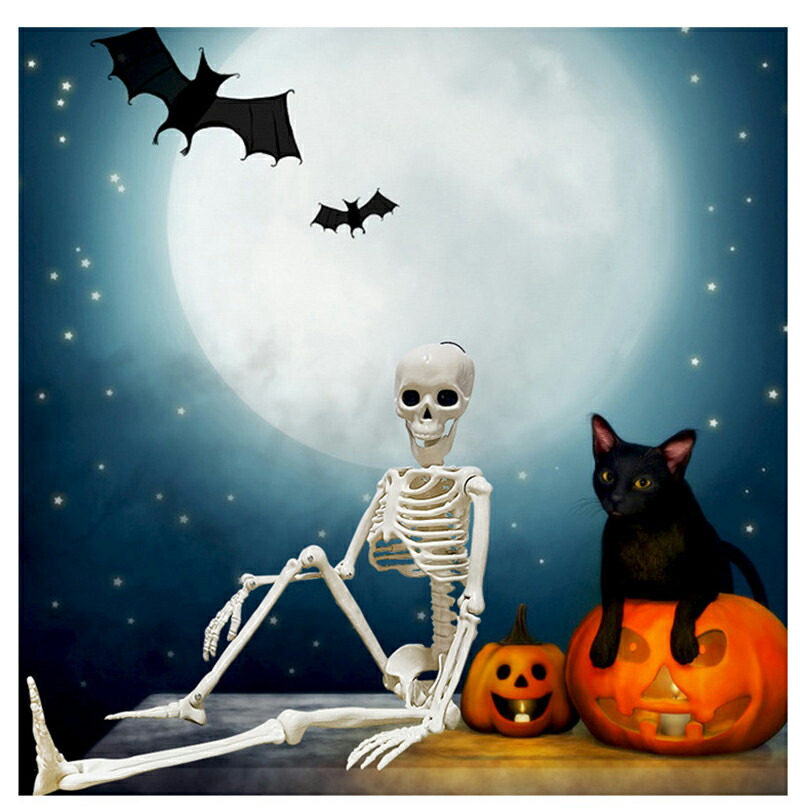 楽天市場】送料無料 ハロウィン 骸骨 ハロウィンスケルトン 40 /60