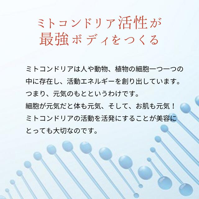 imgrc0123261027.jpg