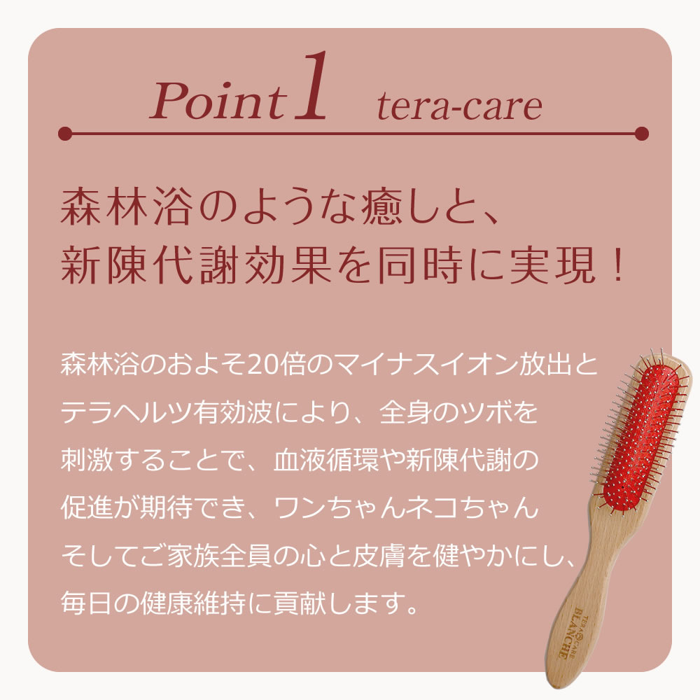 楽天市場】【正規販売代理店】BLANCHE ブランシュ テラケアブラシ