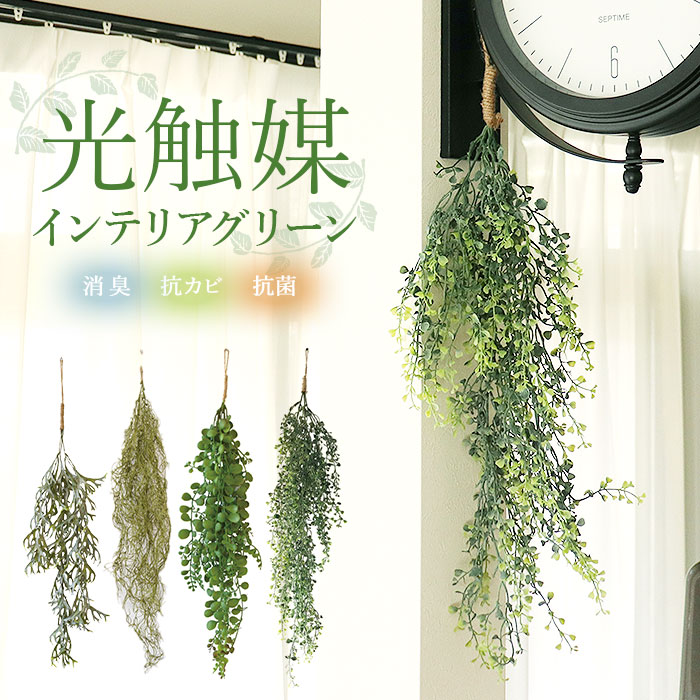 楽天市場】光触媒 フェイクグリーン 通販 観葉植物 フェイク グリーン