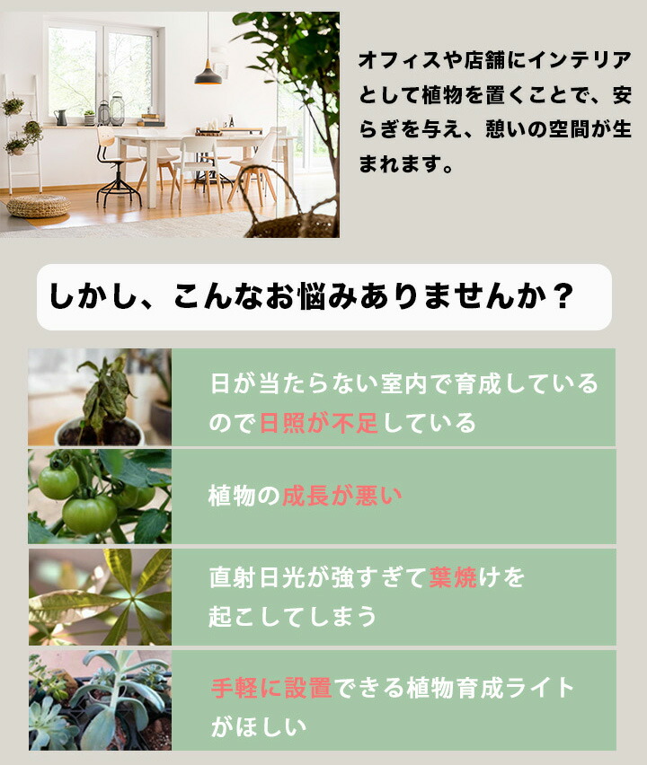 楽天市場】LED 植物育成 水耕栽培 LEDライト 観葉 植物 育成