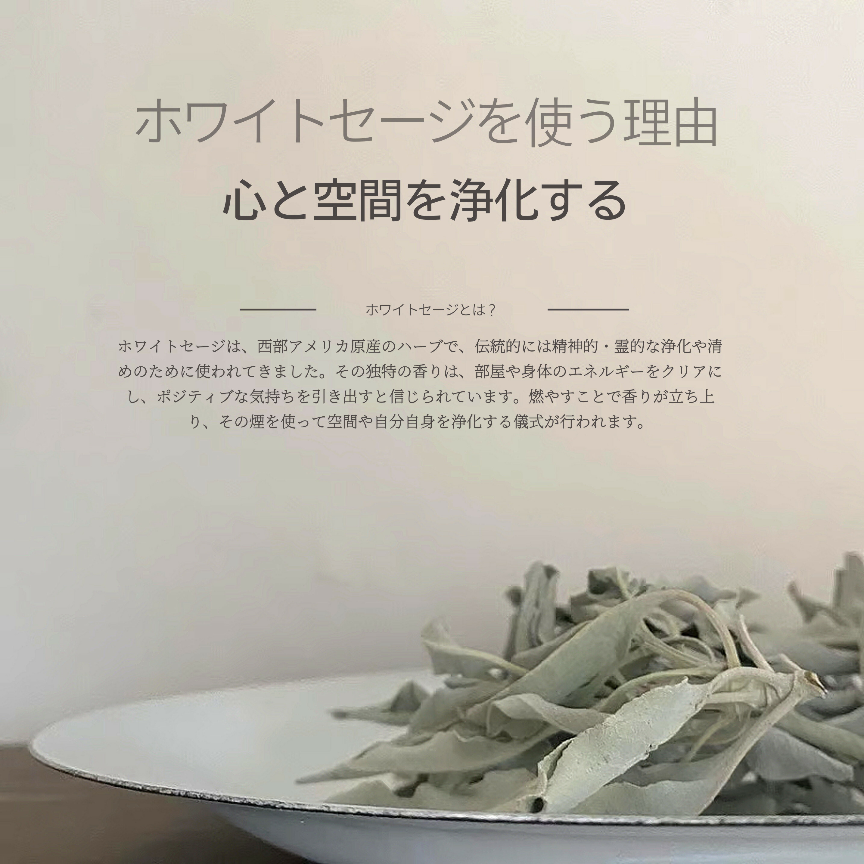 楽天市場】☆20％割引セール☆ B品 アウトレット ホワイトセージ 浄化