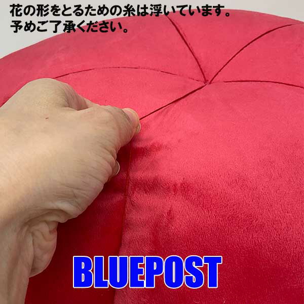 楽天市場】【送料無料】食虫植物雑貨 ラフレシア クッション[植物