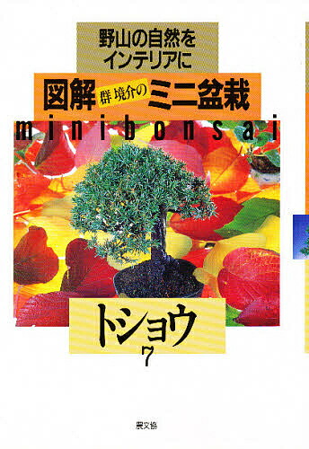 楽天市場】ミニ盆栽（本・雑誌・コミック）の通販
