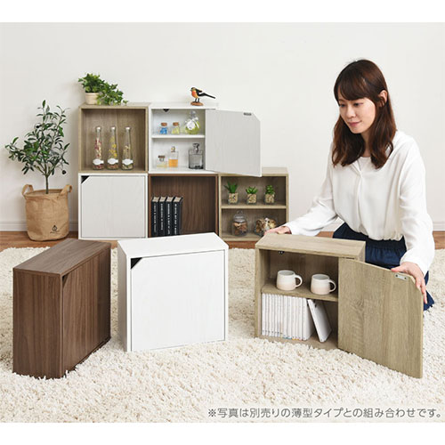 楽天市場】キューブボックス 扉付き カラーボックス 棚 薄型 扉付き