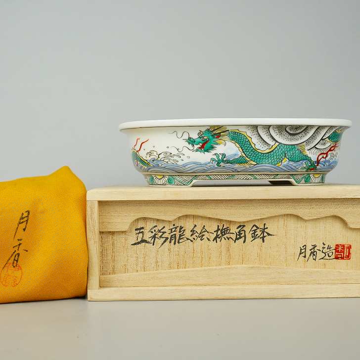 楽天市場】盆栽鉢 月香 (共布・共箱) 五彩 龍絵 撫角 長方鉢 観賞用