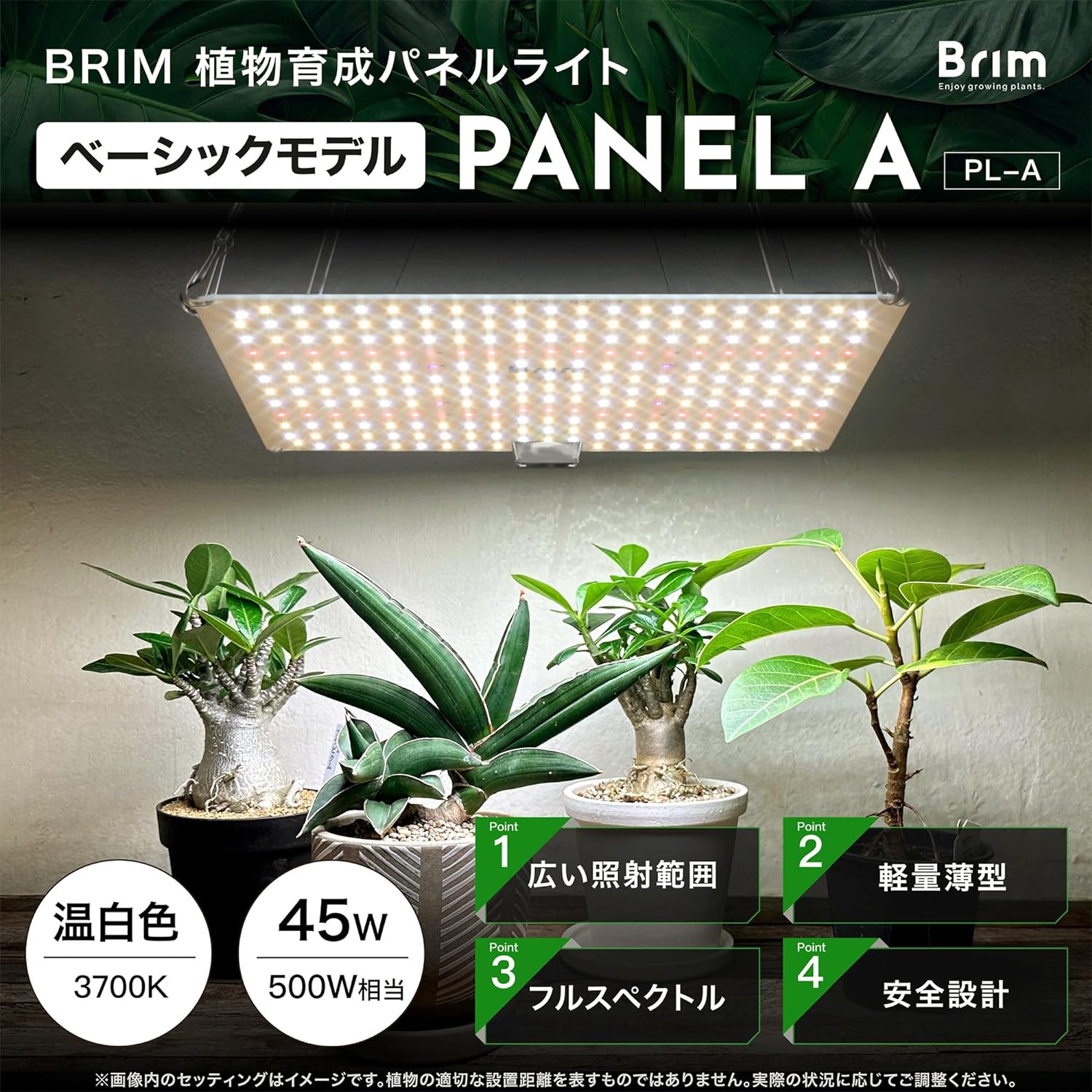 楽天市場】BRIM(ブリム) 公式店 楽天ランキング1位獲得【1枚】BRIM