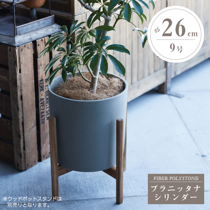 楽天市場】おしゃれ 植木鉢 「プラニッタナ（Planeterna） シリンダー