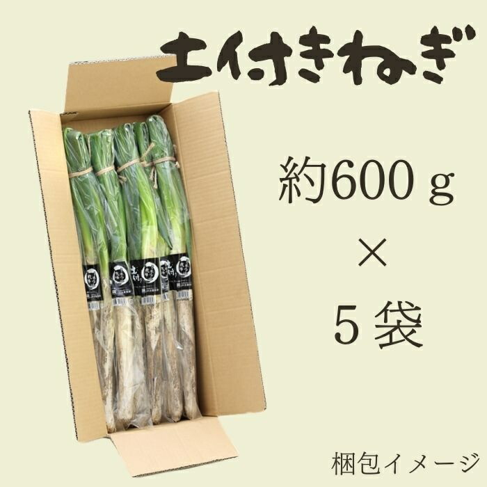 楽天市場】土付きねぎ 約3kg（約600g×5袋） R702 送料無料 産地直送