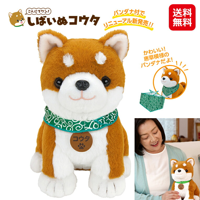 楽天市場】【こんにちワン！しばいぬコウタ バンダナ付きセット