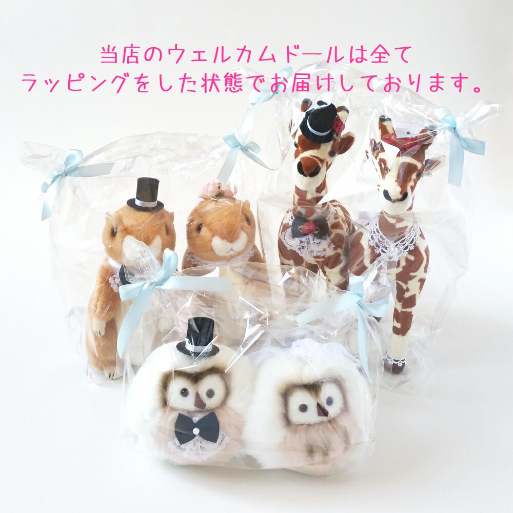 楽天市場】ウェルカムドール プレリードッグ 結婚式 受付 人形