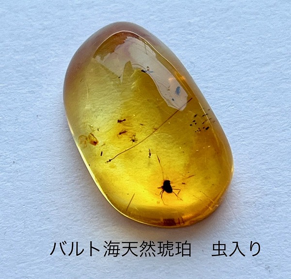 楽天市場】【天然琥珀】【虫入り琥珀】【琥珀ルース】バルト海天然琥珀
