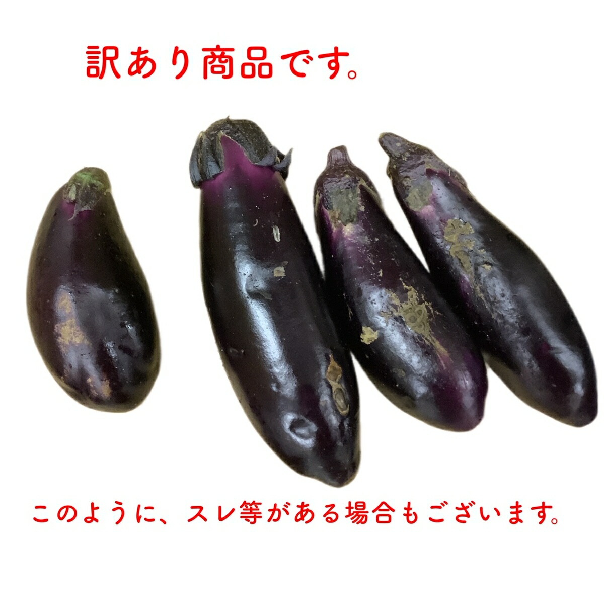 楽天市場】高知県産 なす 茄子 なすび ナス 訳あり 500g 国産 わけあり