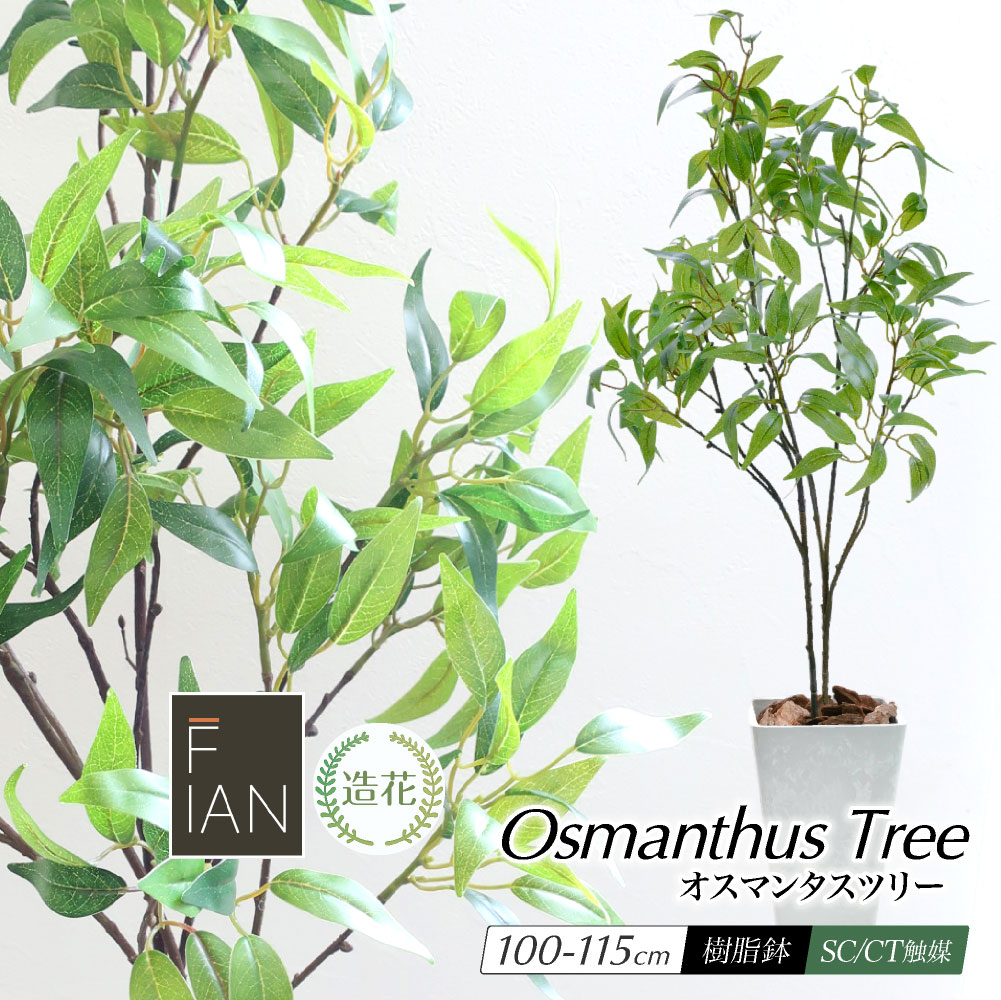 楽天市場】【楽天スーパーSALE 20%OFF】フェイクグリーン 観葉植物