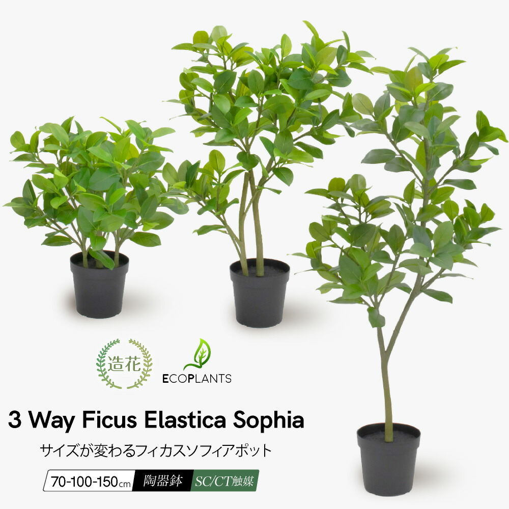 光触媒 人工観葉植物 ウォールグリーン フィカスグリーン フィカス