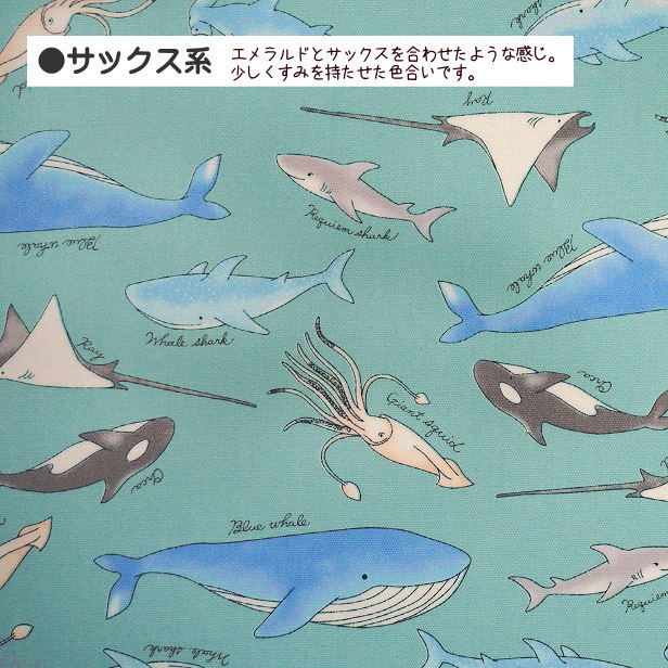 楽天市場】ラミネート 生地 海の生き物 柄 クジラ シャチ エイ 巨大