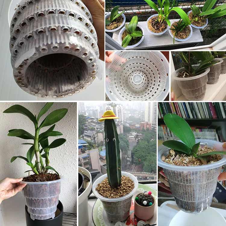 楽天市場】 蘭の鉢 植木鉢 胡蝶蘭の植え替え 胡蝶蘭専用 鉢 多穴型