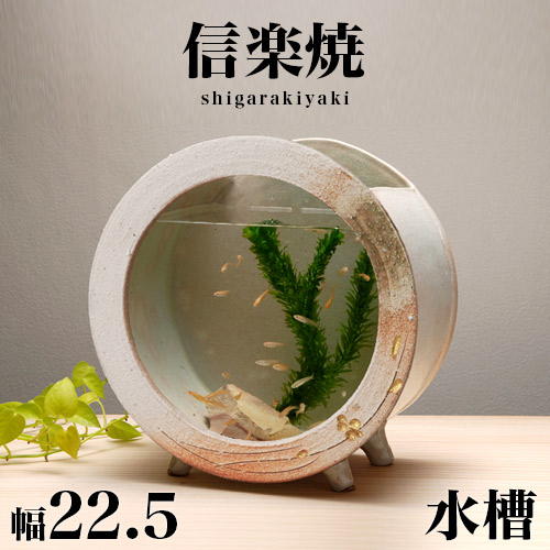 楽天市場】最大3000円OFFクーポン配布中 02/25(水)00:00〜 信楽焼き