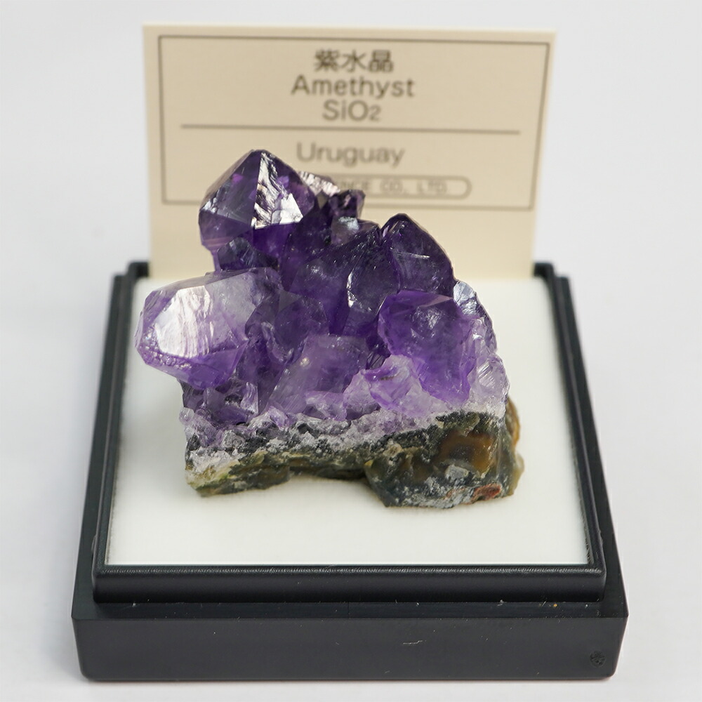 mm182_04.jpg