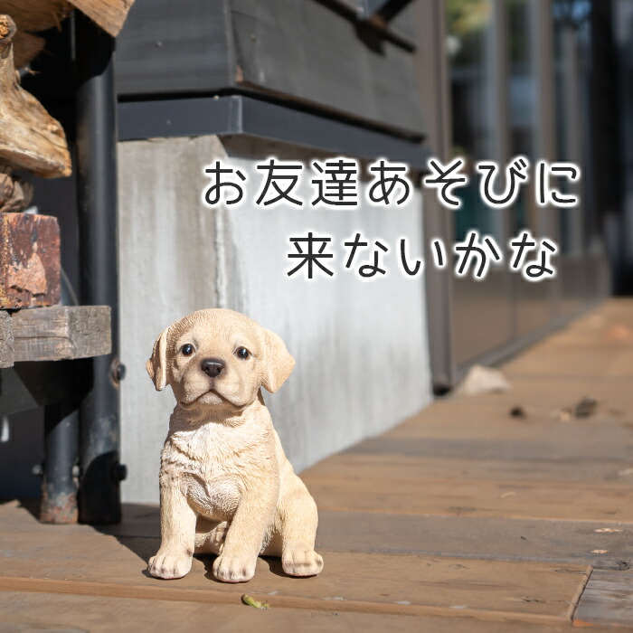 楽天市場】ちょこんと座るわんこ《 ラブラドール (16.5cm)》〔 WOOBIA