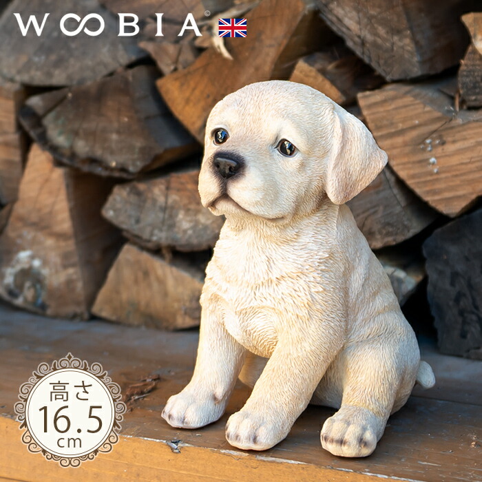 楽天市場】ちょこんと座るわんこ《 ラブラドール (16.5cm)》〔 WOOBIA