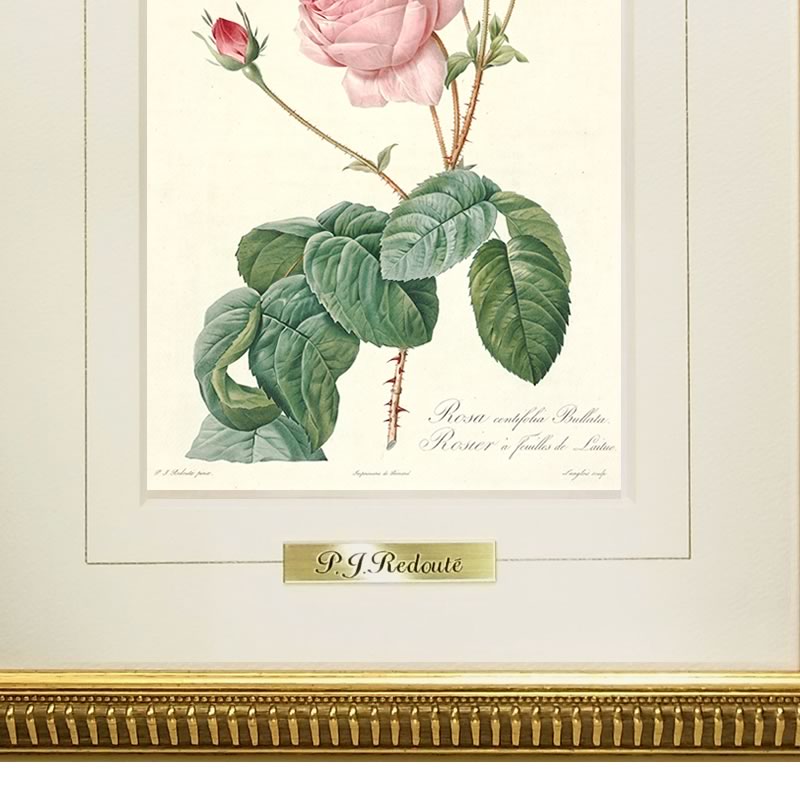楽天市場】【スーパーセール価格】 絵画 インテリア ルドゥーテ ローズ