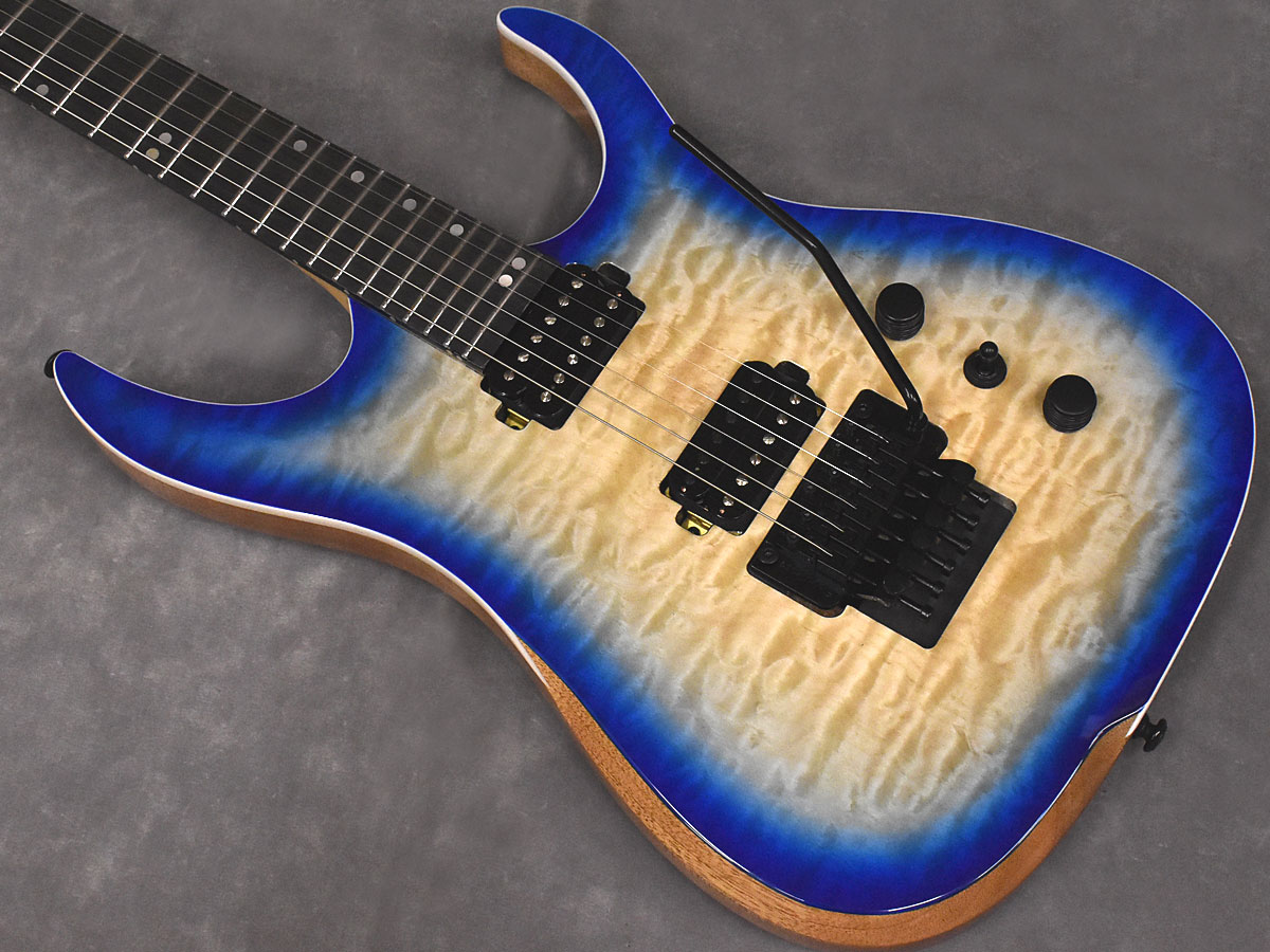 楽天市場】Ormsby Guitars HYPE GTR Floyd Exotic MH BB 6strings