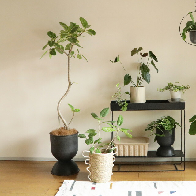 楽天市場】【国内在庫あり】Ferm Living (ファームリビング) Verso