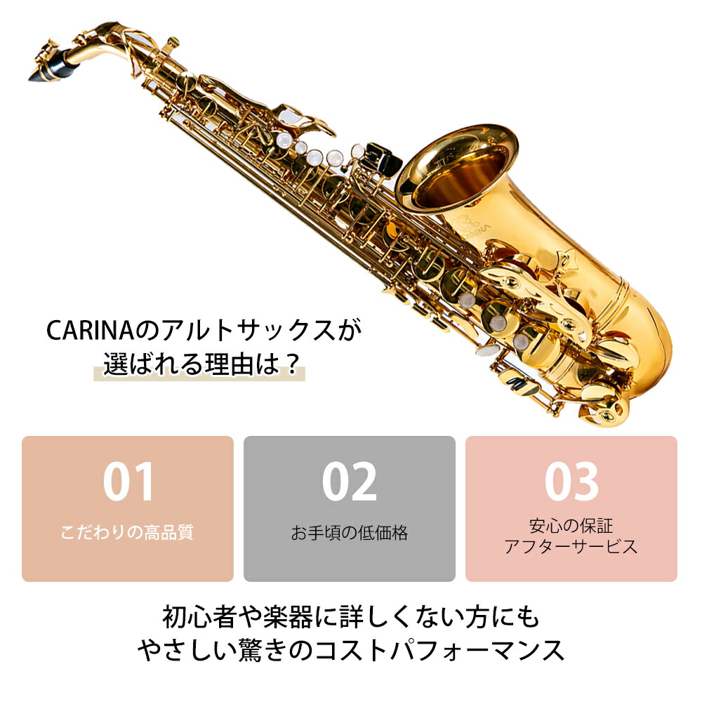 楽天市場】アルトサックス 初心者 入門セット 9点セットゴールド