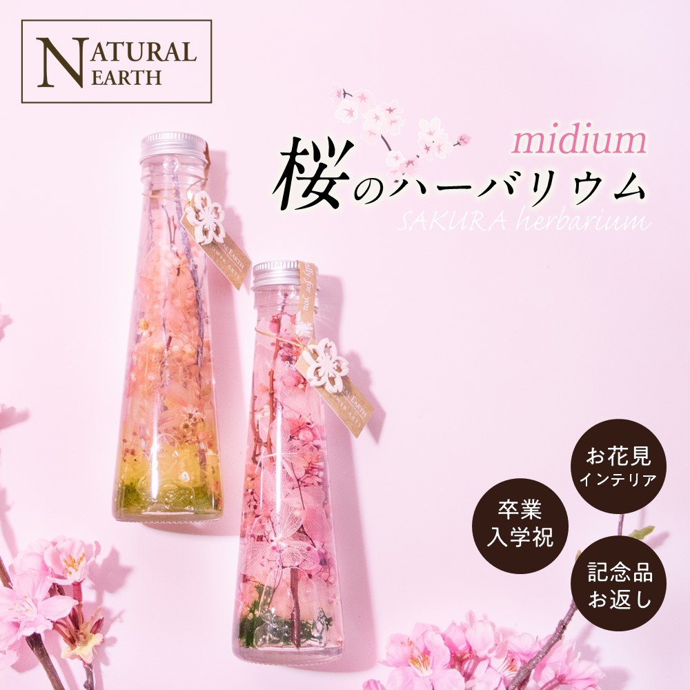 楽天市場】＼割引クーポン配布中／ハーバリウム 桜 サクラ さくら 雑貨
