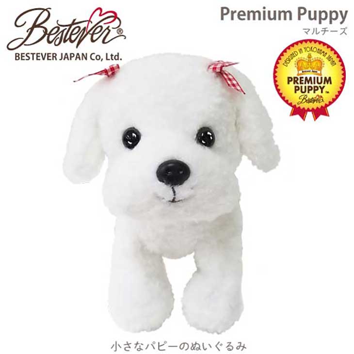 楽天市場】ぬいぐるみ マルチーズ 犬のぬいぐるみ リアル プレミアム