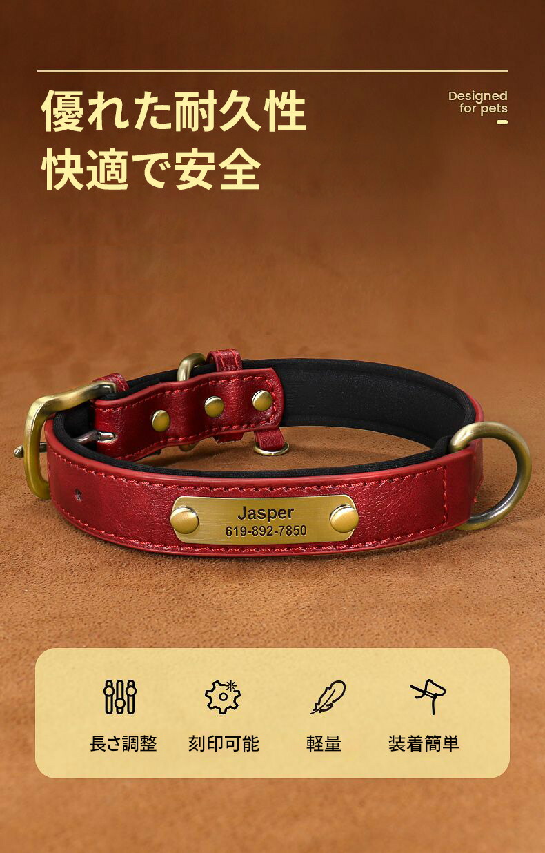imgrc0105319350.jpg
