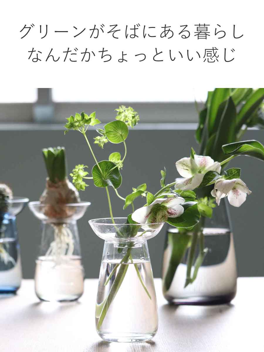 楽天市場】キントー 花瓶 AQUA CULTURE VASE ガラス S L （ KINTO