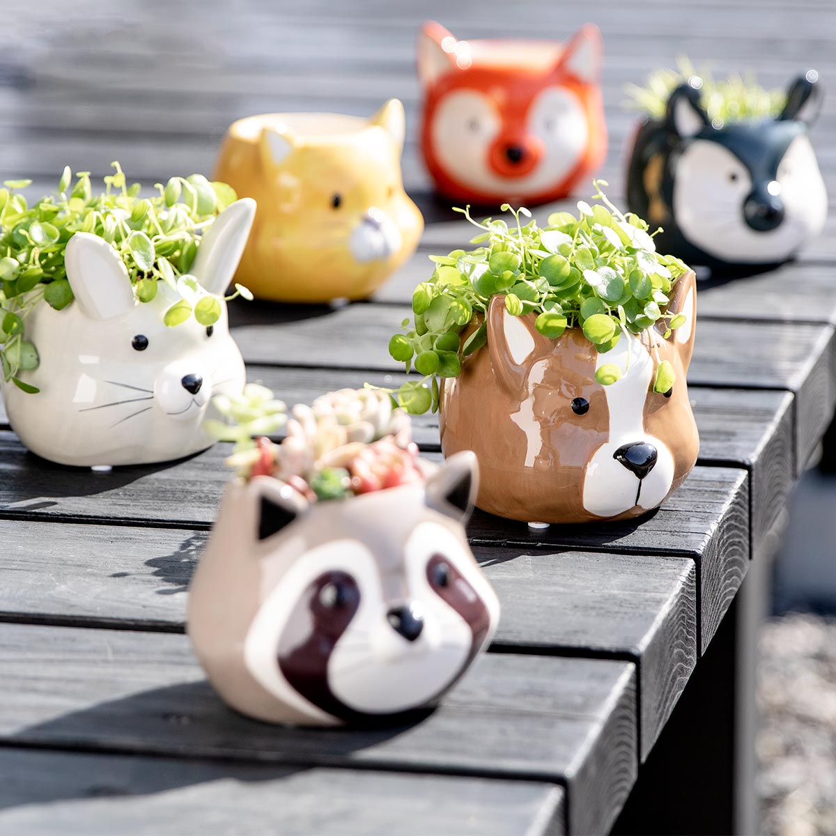 楽天市場】プランター アニマル ポット （ 植木鉢 プラントポット 陶器