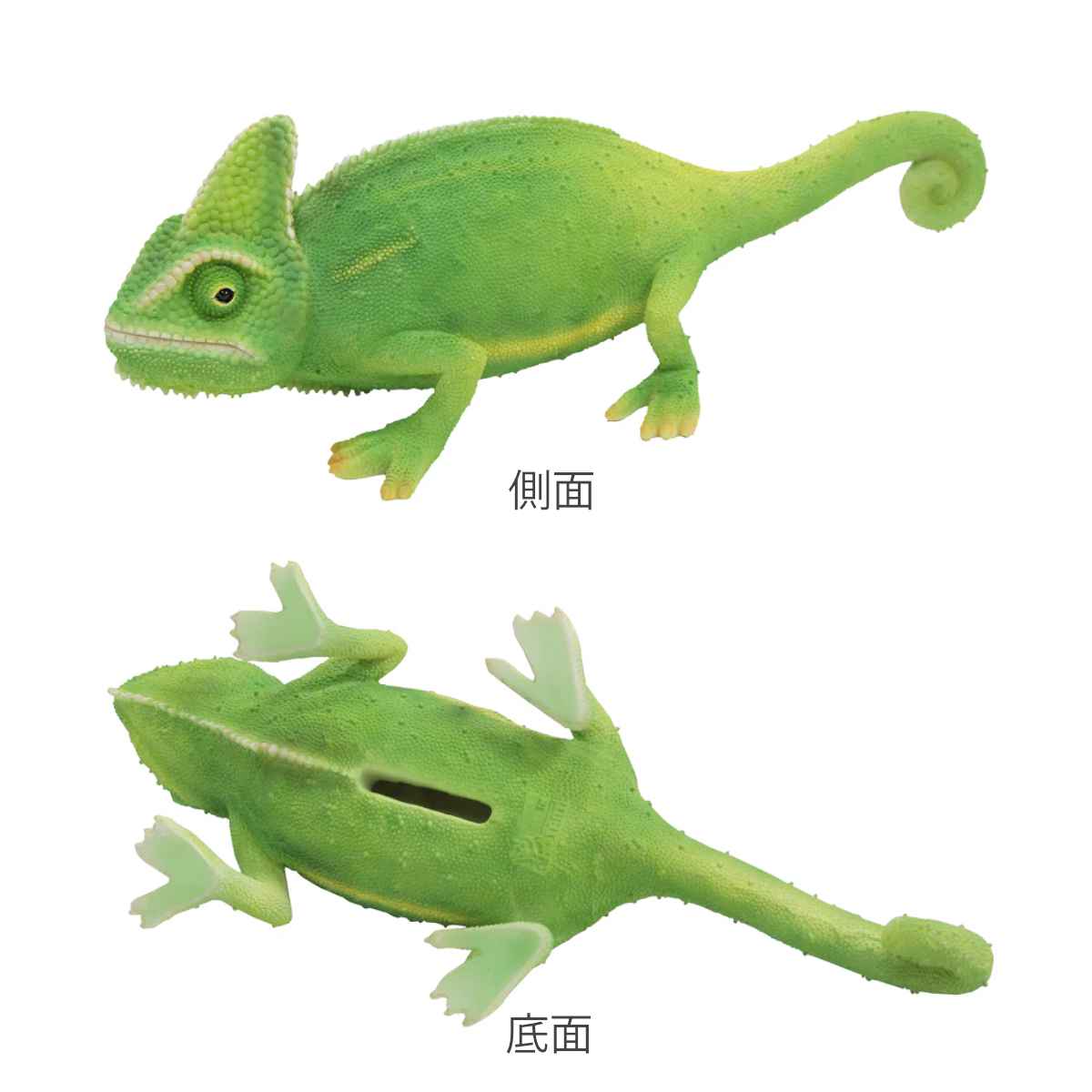 楽天市場】オブジェ カメレオン ペットバンク 貯金箱 （ トカゲ 置物