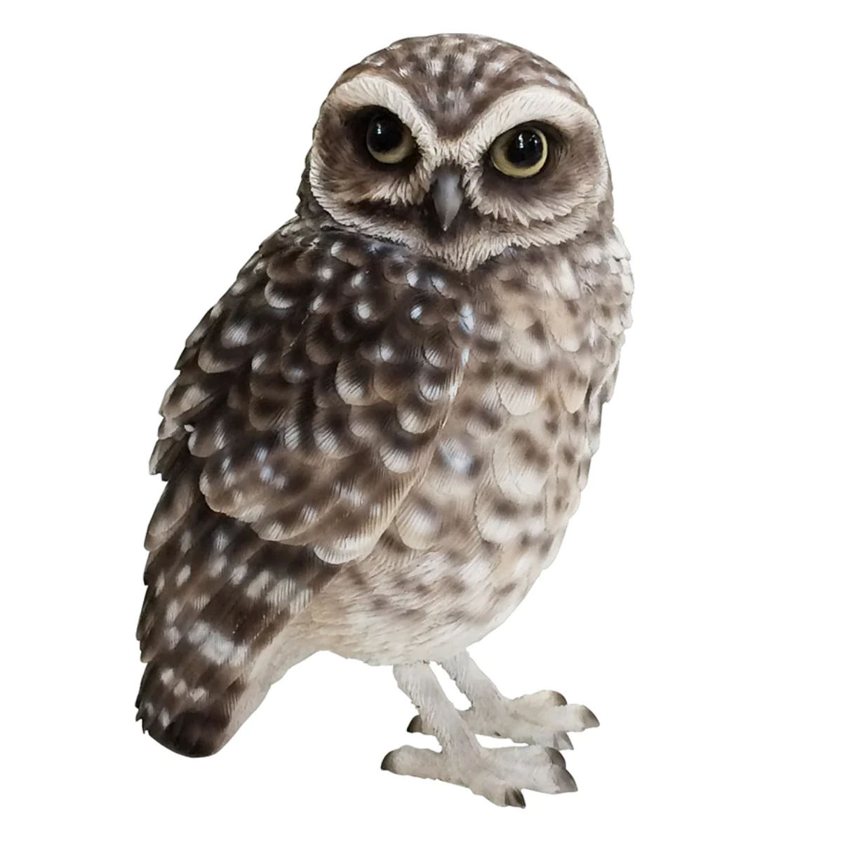 楽天市場】オブジェ BIRDIE BILL BURROWING OWL アナホリフクロウ