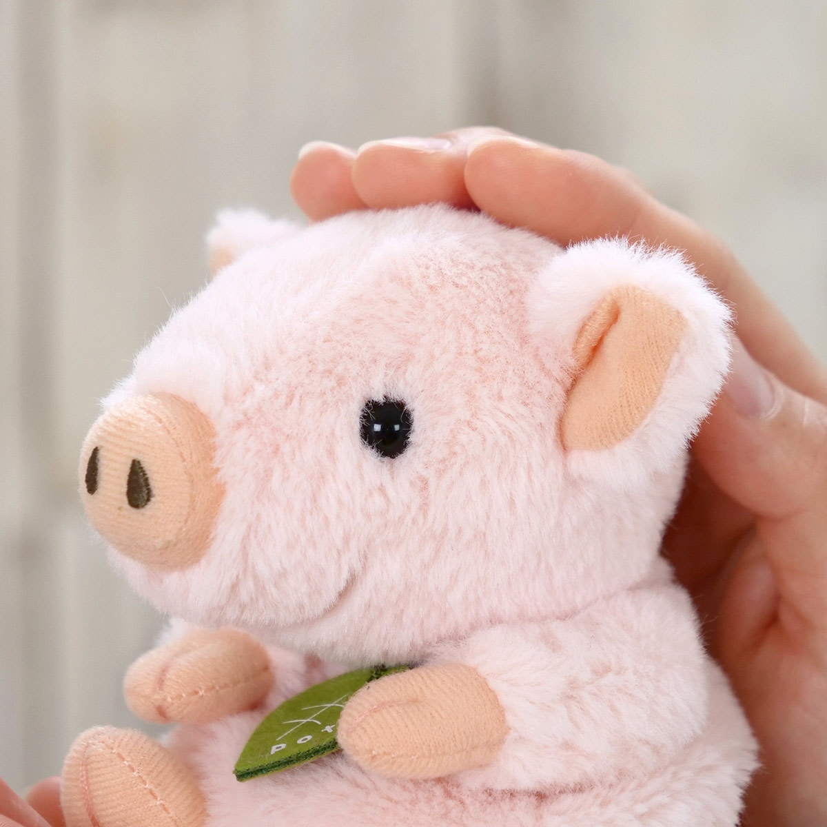 楽天市場】ぬいぐるみ potte ブタ （ ヌイグルミ ぶた 動物 雑貨