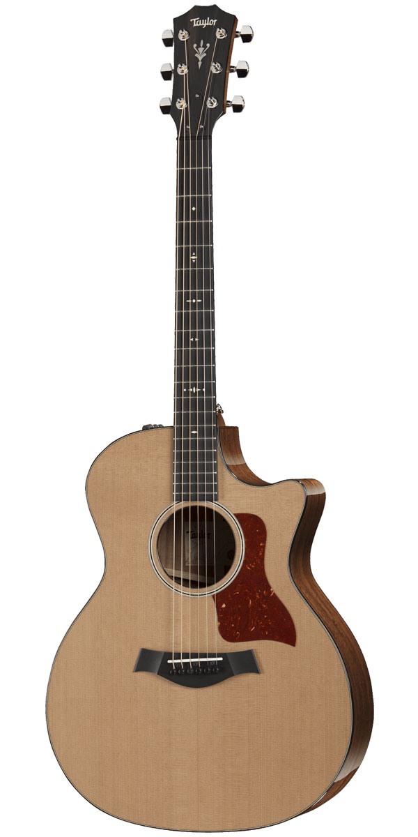 楽天市場】Taylor（テイラー）514ce V-Class : STARROW ONLINE STORE