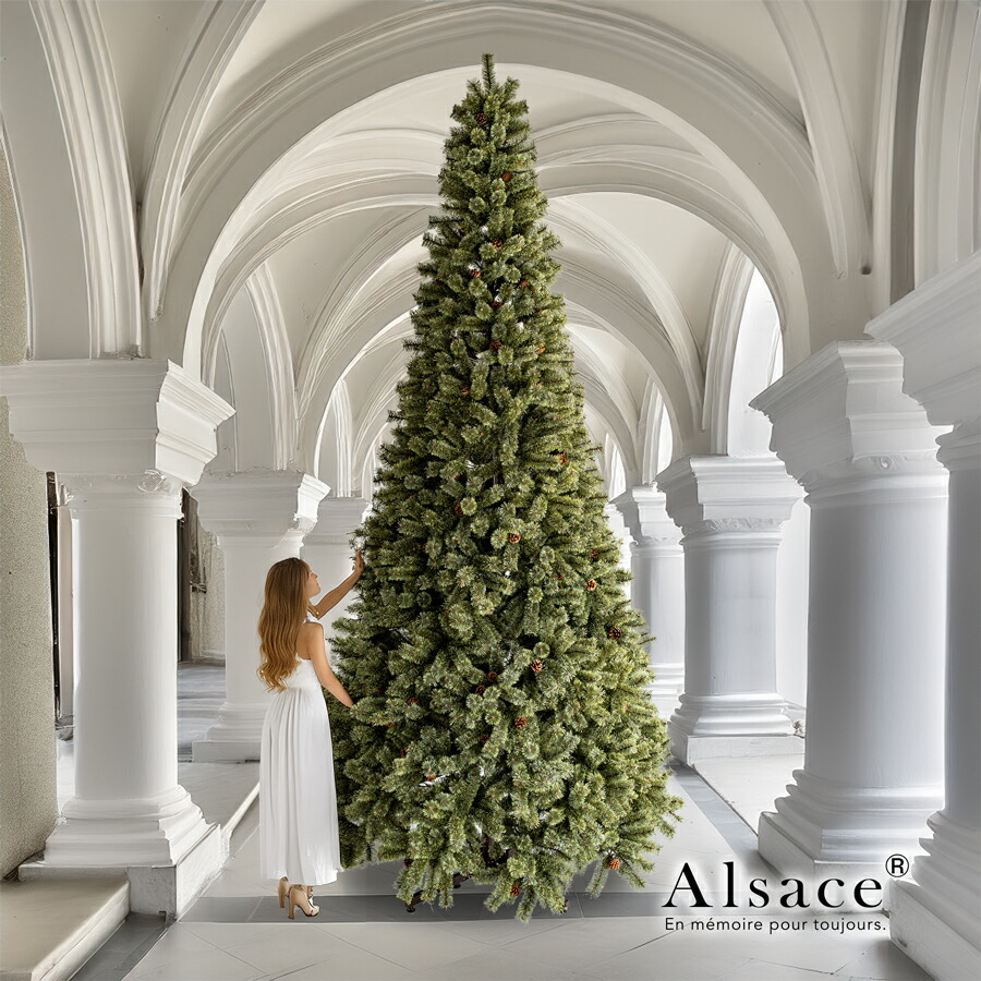 楽天市場】【公式 Alsace(R) 正規品】業務用 Alsace(R)公式 正規品