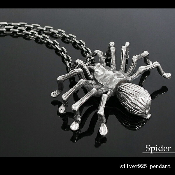 楽天市場】スパイダー シルバー ネックレス (チェーン付き) 蜘蛛