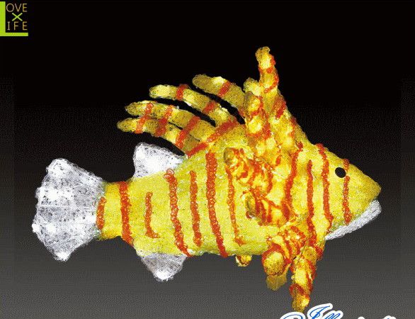 楽天市場】LED ACR-(A)FISH-MK 大型商品 LEDクリスタルミノカサゴ