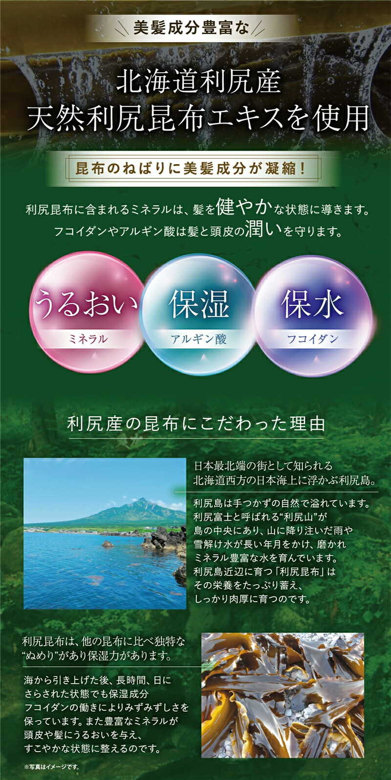 楽天市場】白髪用 利尻カラーシャンプー＆カラーケアコンディショナー