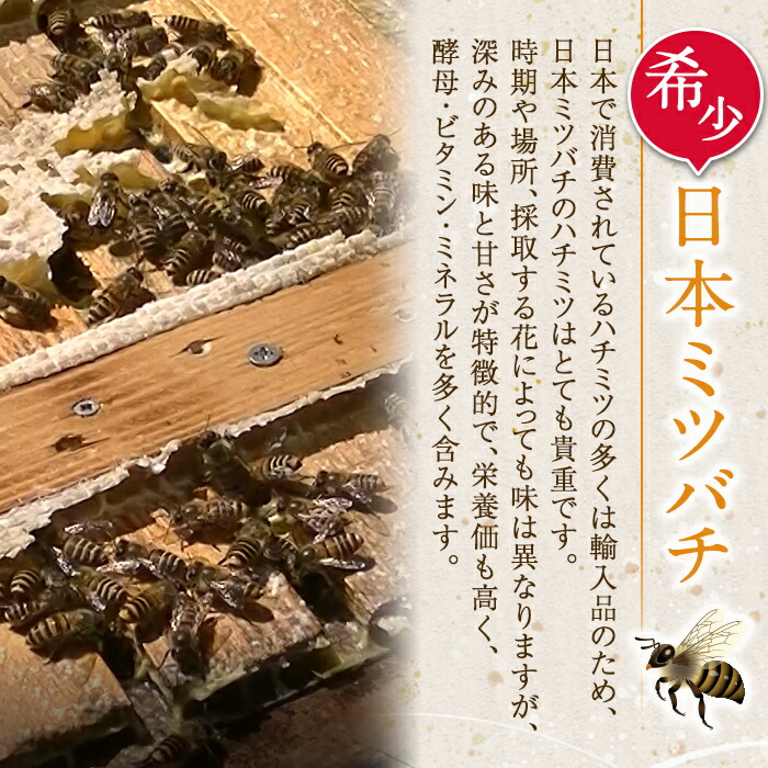 楽天市場】【ふるさと納税】《2025年10月上旬～2026年1月下旬の間に