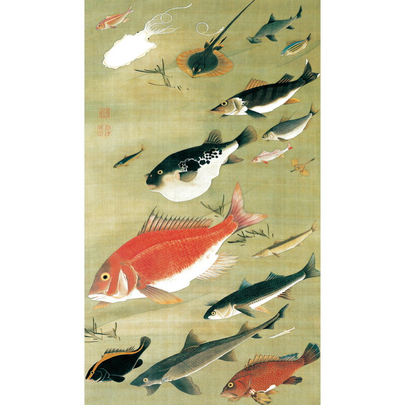 楽天市場】伊藤若冲 動植綵絵 群魚図（鯛） 高級仕様 額 美術品