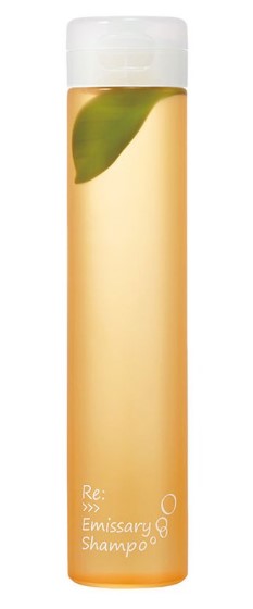 ADJUVANT リ：エミサリーシャンプー 300ml (シャンプー) 価格比較