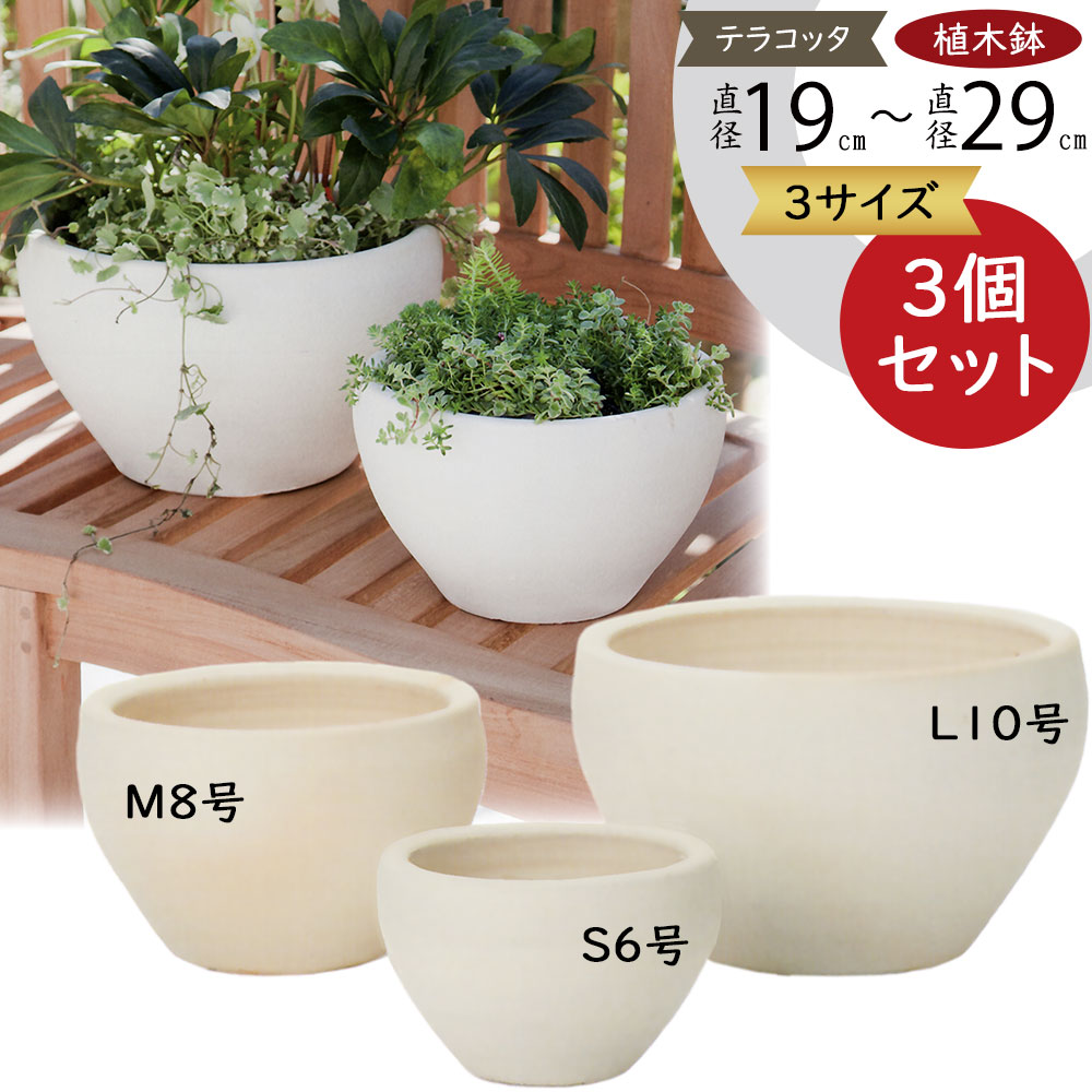 楽天市場】テラコッタ 植木鉢 大型 おしゃれ 人気 プランター おすすめ