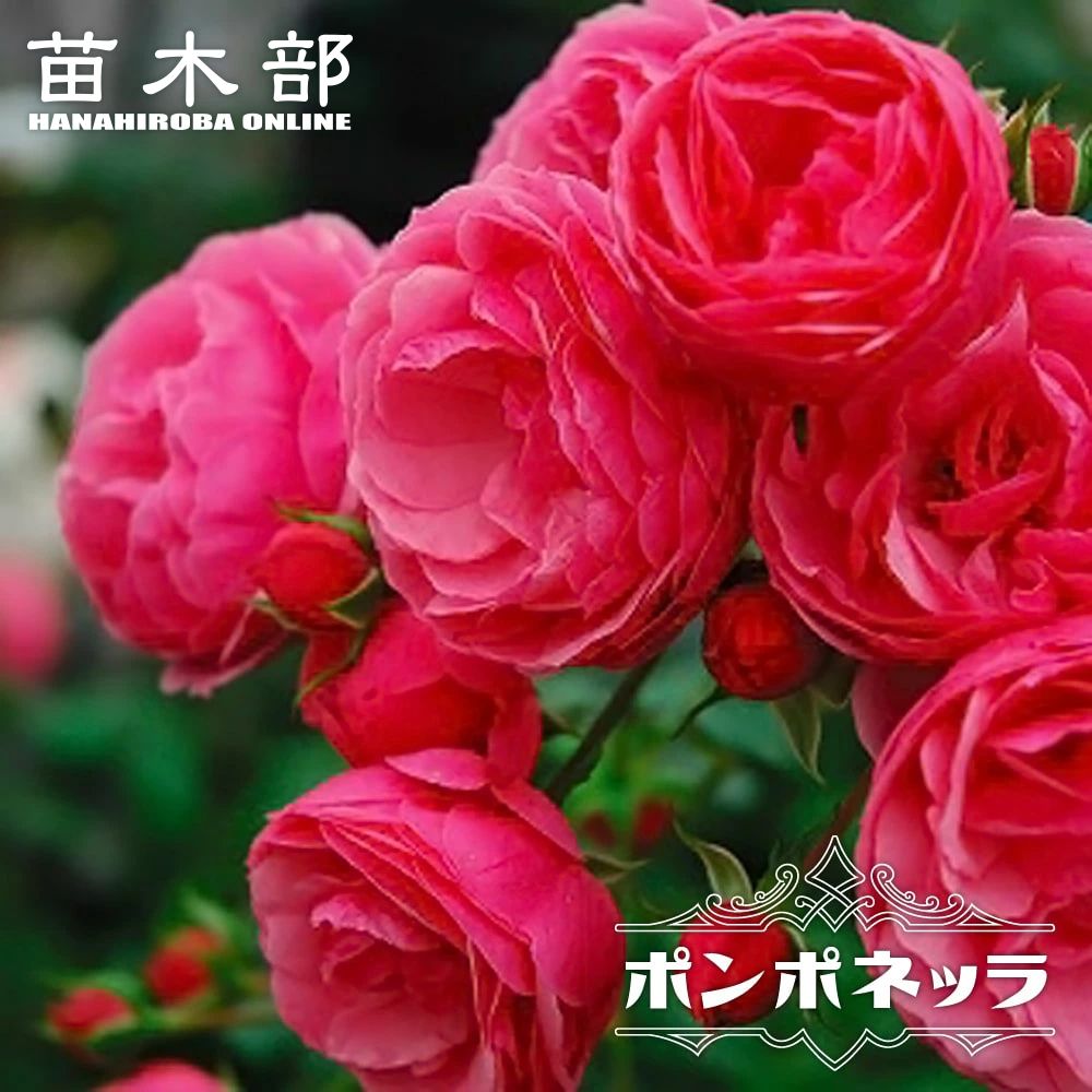imgrc0139722000.jpg